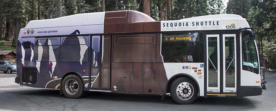 A large shuttle bus in Giant Forest