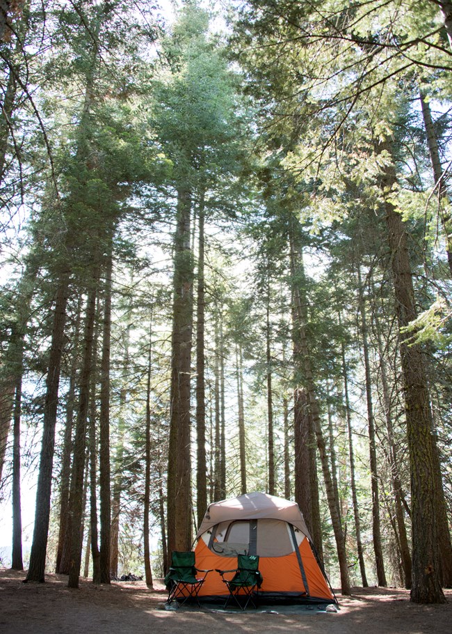 An image of a orange tent set up in a forested campground in Kings Canyon National Park.