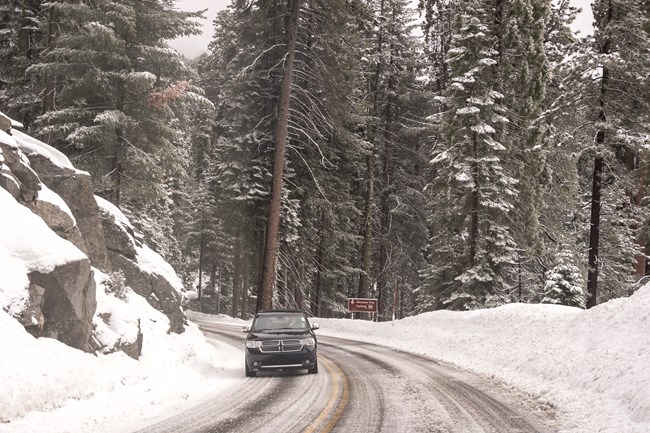 A car drives down a snow covered, icy road in the Giant Forest.