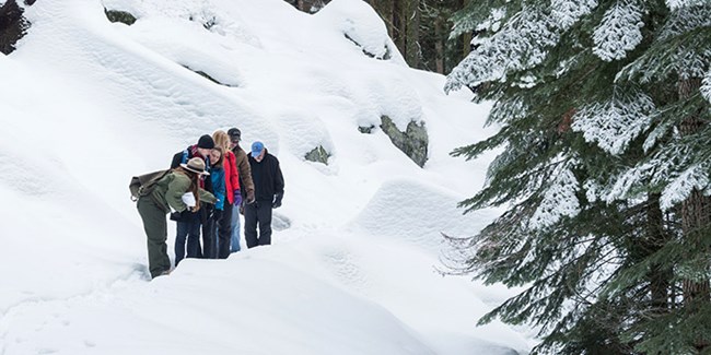 A ranger leads a group through the snowy forest