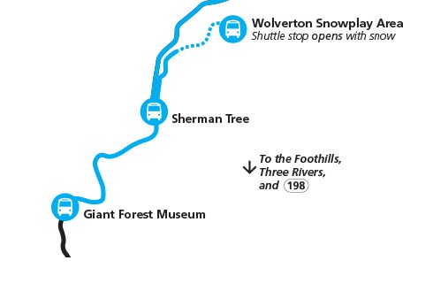 A blue line with three shuttle symbols denotes winter shuttle stops and the highway in the Giant Forest area of Sequoia National Park.