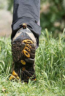 A hiking boot mid walk on a grassy floor.
