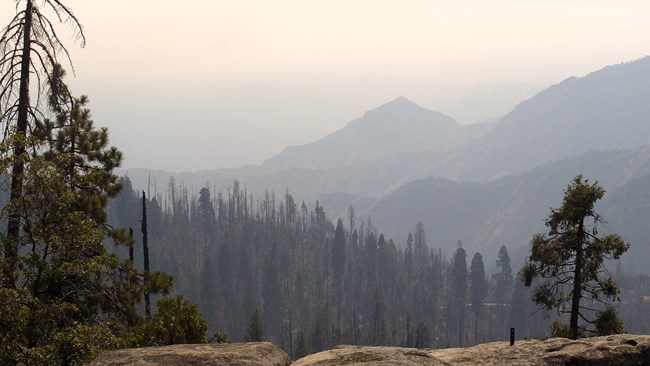 A smoke-filled vista of mountain ridges as seen from the Giant Forest webcam.