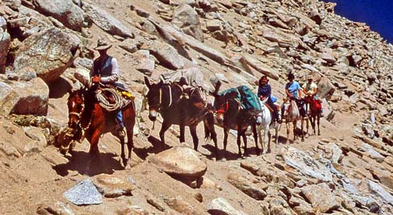 Stock party on the Franklin Lakes trail in Mineral King