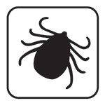 A symbol of a tick.