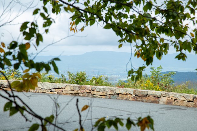 Swift Run Overlook, tree in foreground