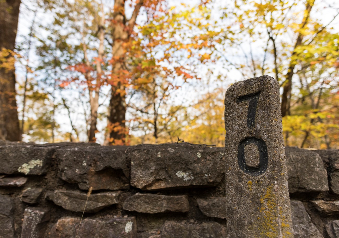 Mile Marker 70