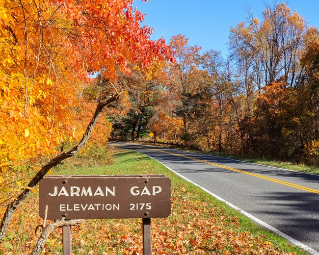 Skyline Drive lined with Fall colored trees; a sign in the foreground reads "Jarman Gap"