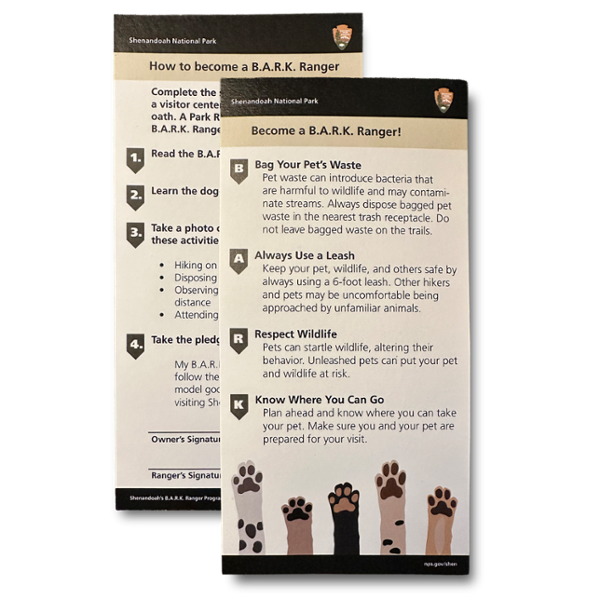Bark Ranger cards which are handed out by Rangers at visitor centers.