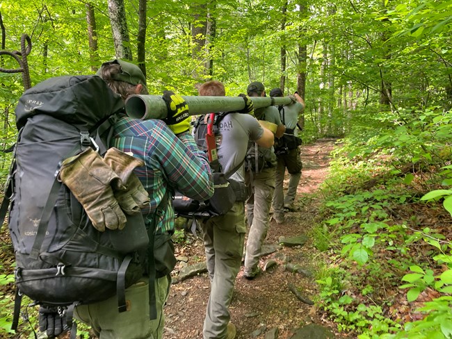 SHEN Trails Crew teamwork