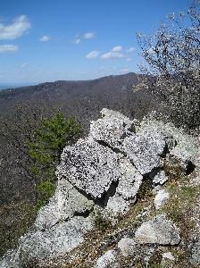 White quartzite at Calvary Rocks