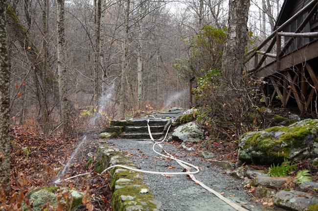Structure protection sprinklers at Rapidan Camp
