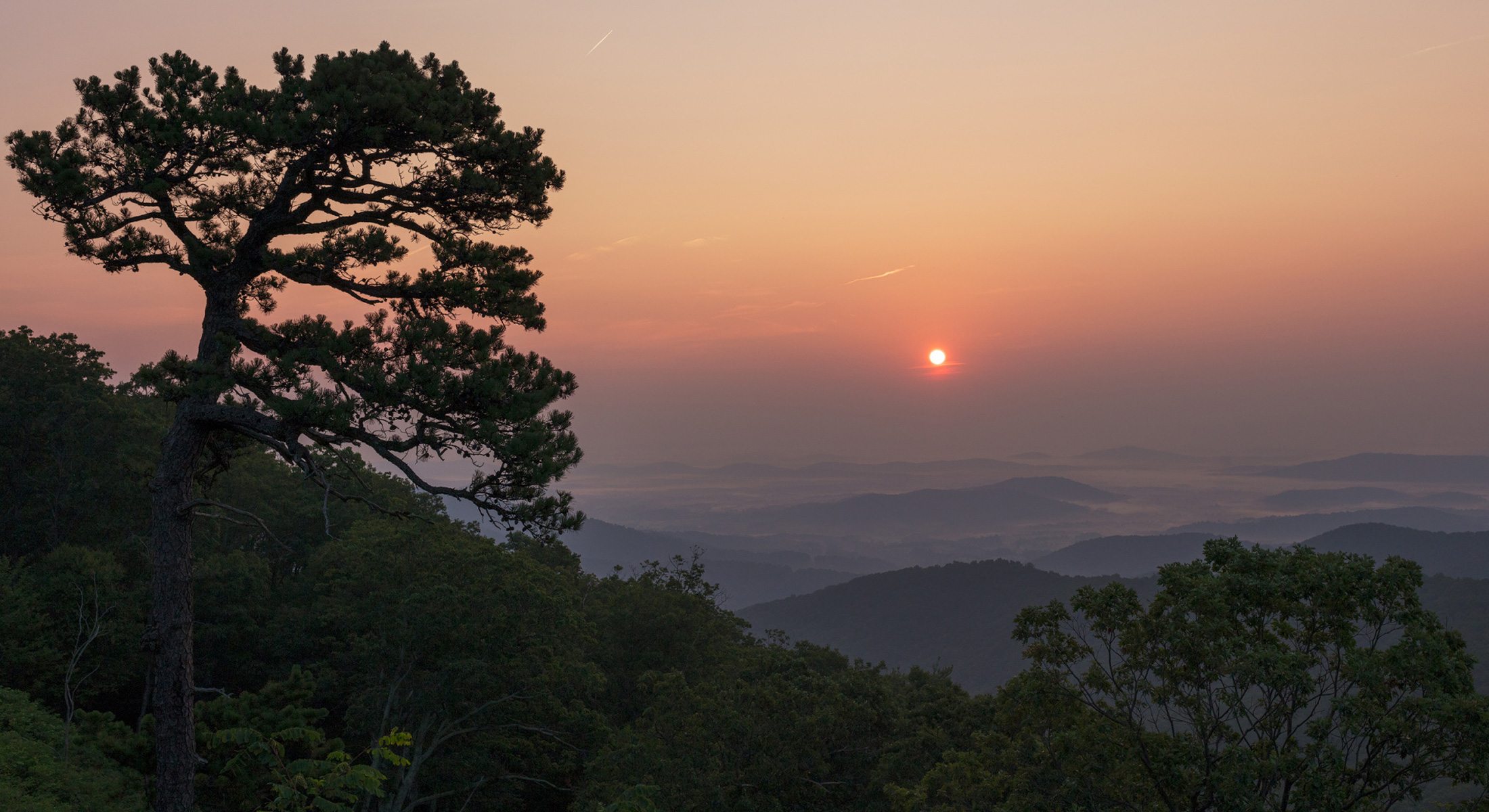 A sunrise behind the silhouette of a tree and mountain layers beyond.