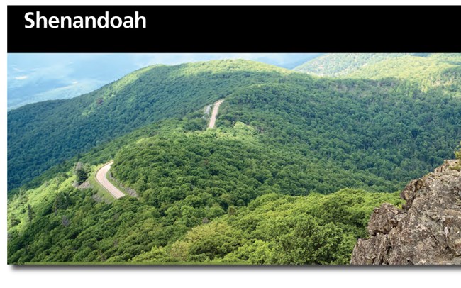 An image of the Shenandoah National Park brochure