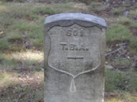 A., T. B. grave photograph