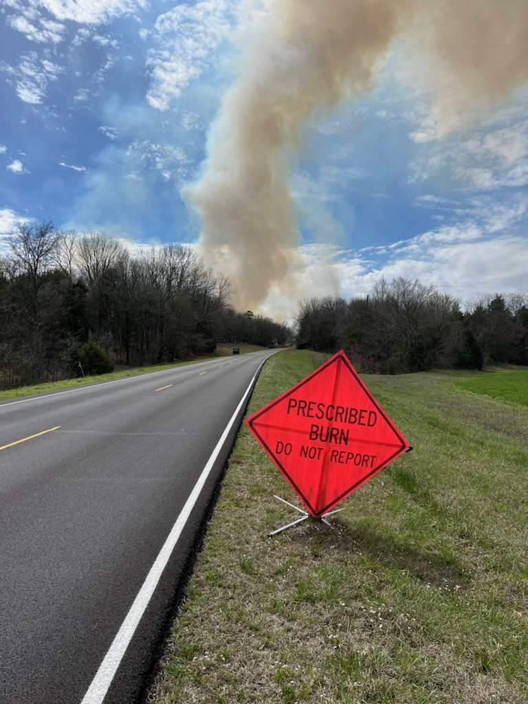 View of smoke billowing from a roadside.