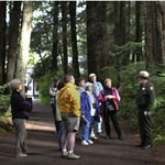 On a forest trail, a group of visitors gather to hear a Ranger speak.