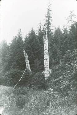 Black and white photograph of the Yeltatzie Pole along with another totem pole amid tall spruce and hemlock trees in Koiangles, circa 1903.