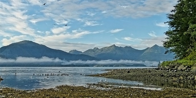 Estuary with rocky shores, seabirds, and mountains in background