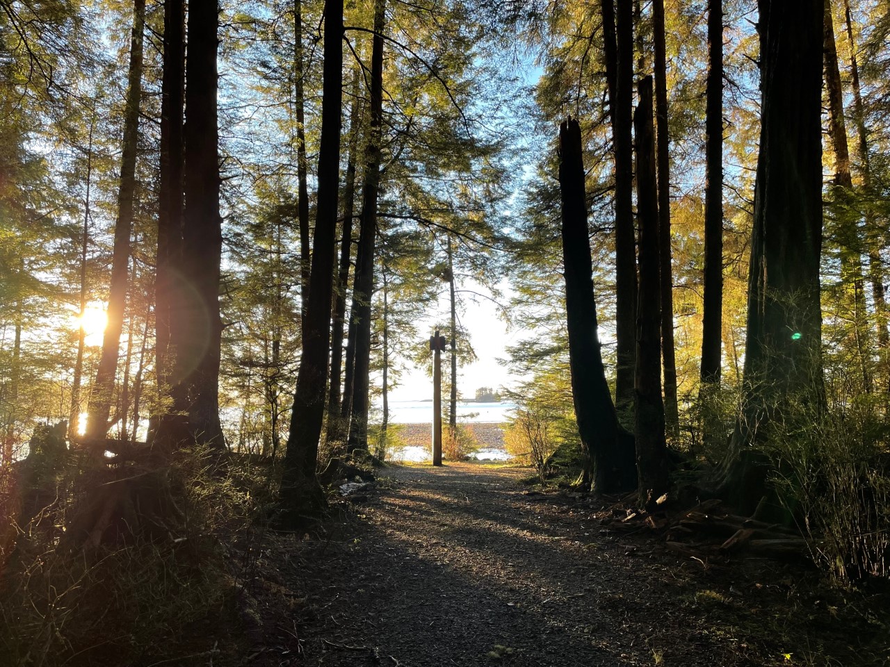 Totem pole at the end of a trail at sunrise
