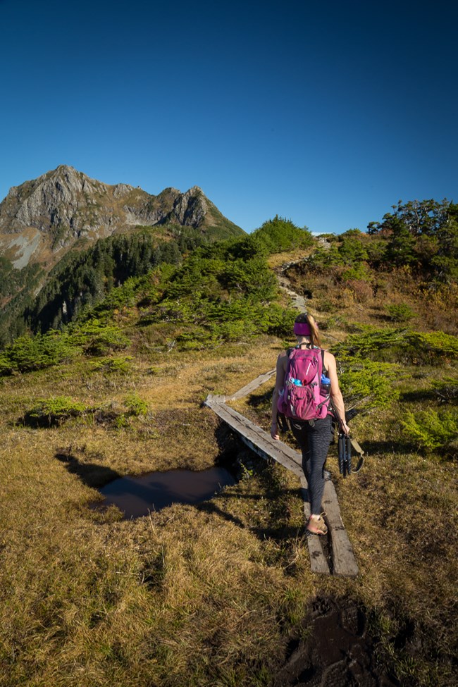 A person hiking along the ridge of the Harbor Mountain Trail