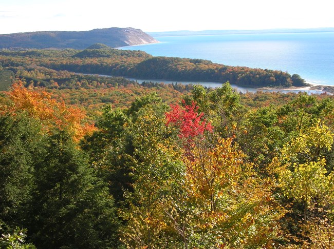 In the foreground, deciduous trees are green, orange and red. A large body of water and hill are in the background.