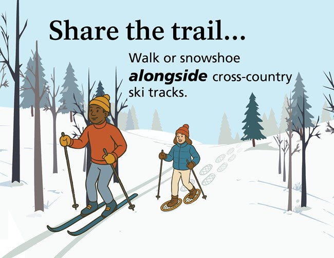 Infographic of A skier and a snowshoer travel side by  side on a snow-covered path through a forest with sparse trees. Text "Share the Trail walk or snowshoe alongside cross country ski tracks."
