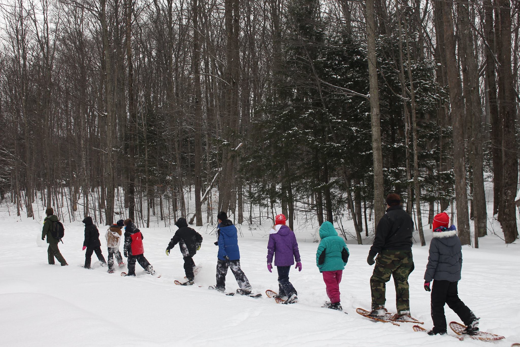 A ranger leads a group of students on a snowshoe hike on a path through a snowy forest