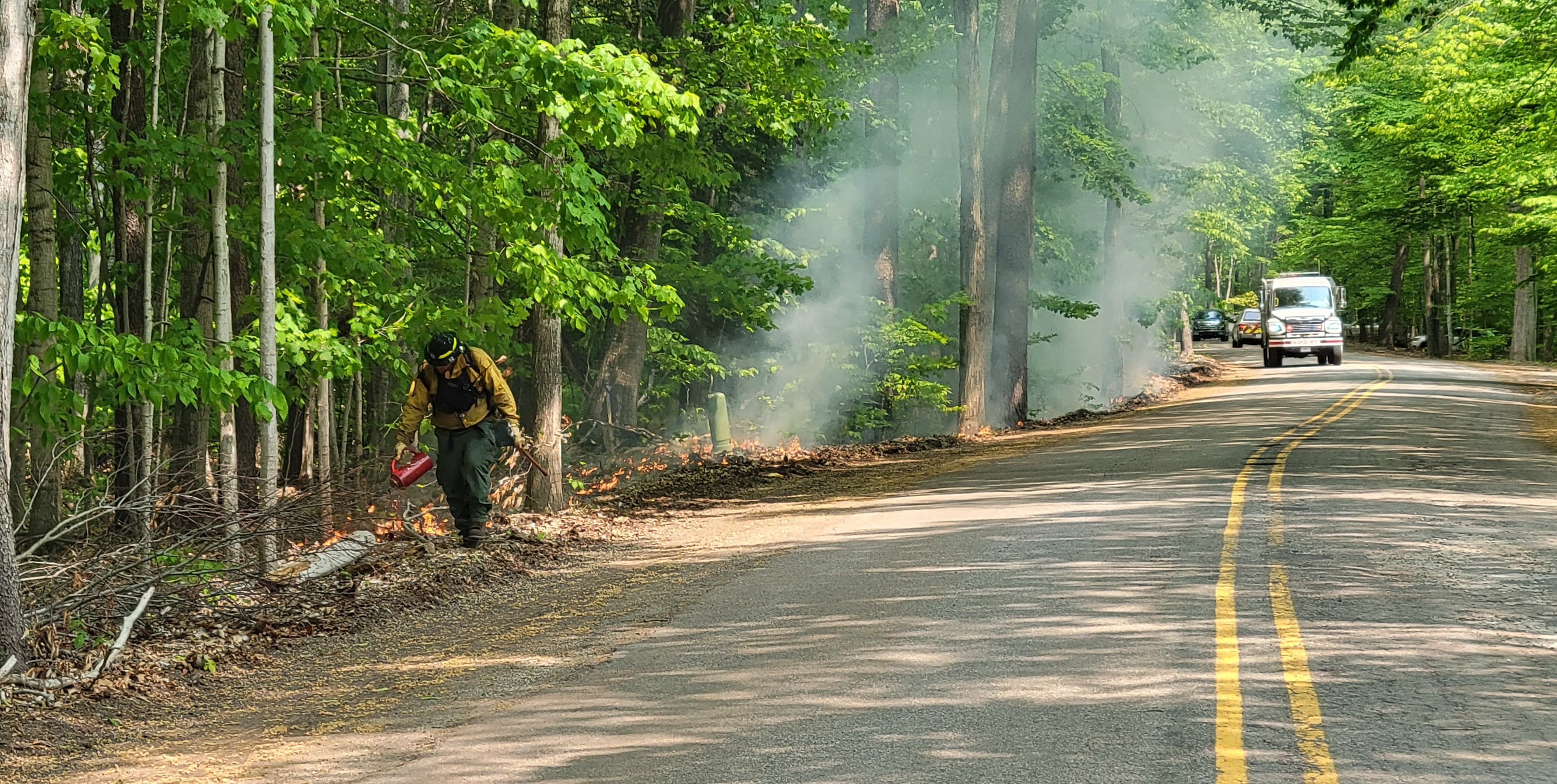 A firefighter in yellow fire proof clothing walks next to a tree-lined road with a fire ignition can