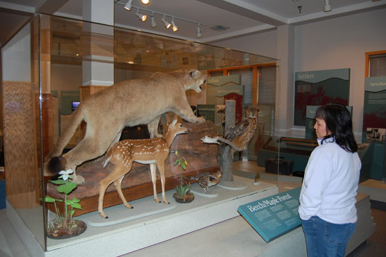 Sleeping Bear Dunes National Lakeshore visitor views new exhibit at the Empire Visitor Center.