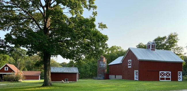 Dark red barn and small outbuilding  with white trimmed windows in the farms' yard