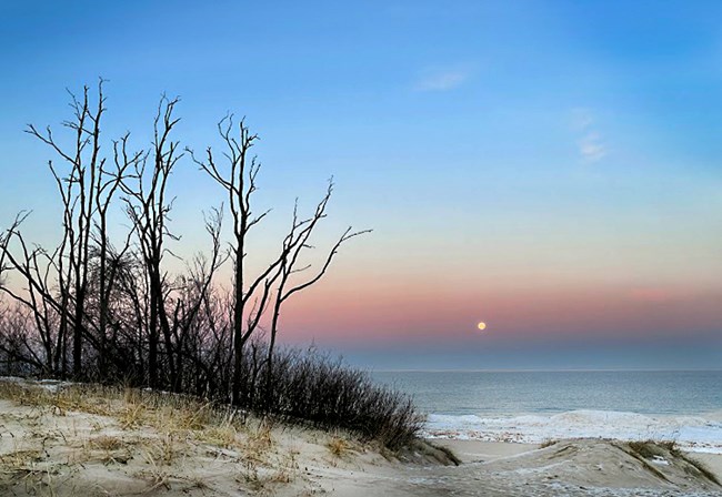 A full moon at dawn over a large body of water with pinks and purple in the sky. A sandy dune with snow and ice in the foreground.