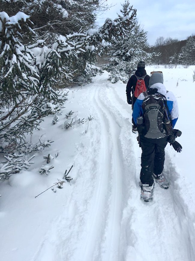 Two people wearing snowshoes walk single file through the snow next to cross country ski tracks.