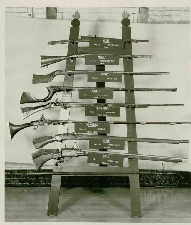 Eight guns; comprised of muskets, rifles, and a snaphaunce, displayed on a leaning rack.