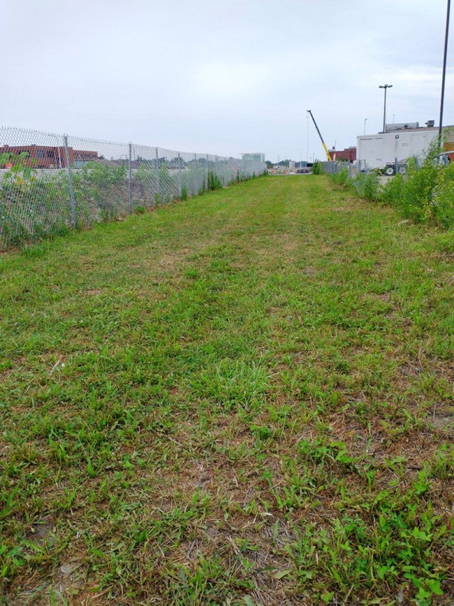 A narrow grassy lot surrounded by fence.