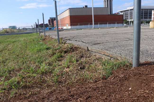 A section of pavement drops off to a lower grass area. The drop-off is a ledge that is several inches tall.