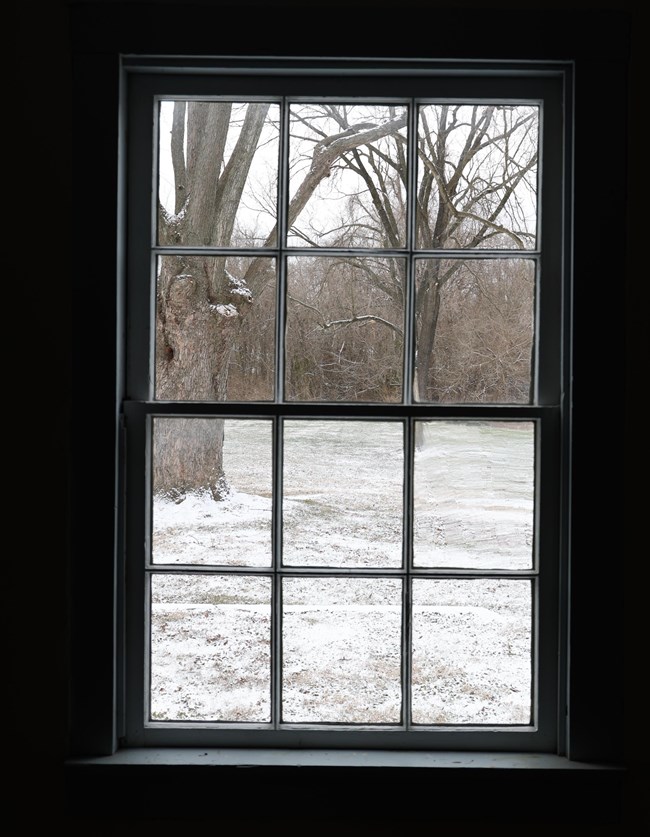 Trees stand on a snowy landscape through a window