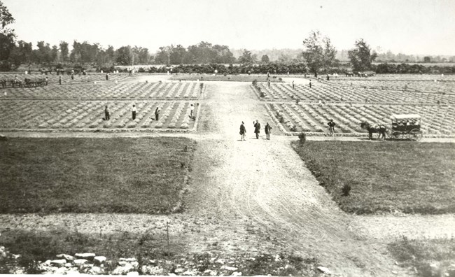 Black and white image of men working in a field covered with rows of freshly placed graves.