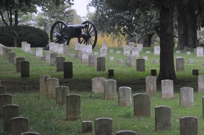 A cannon overlooks a hill with grey headstones in a cemetery