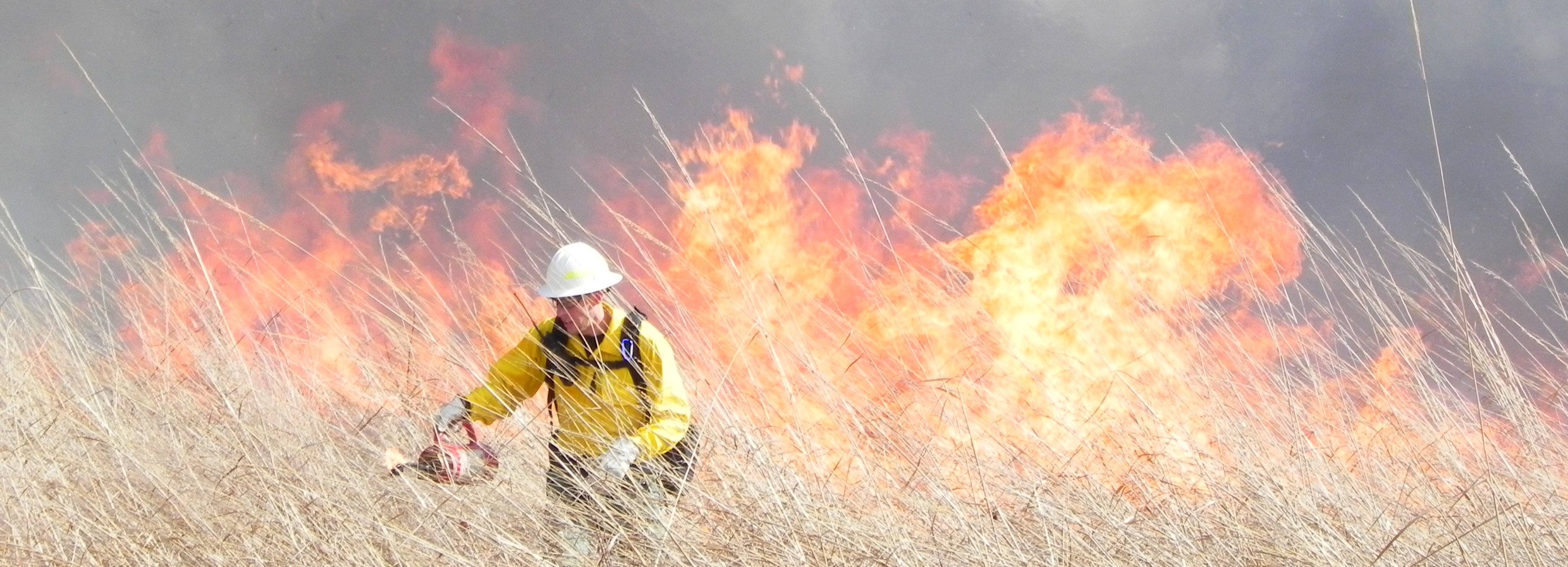 Photo of a person in protective gear walking away from fire in tall grass.