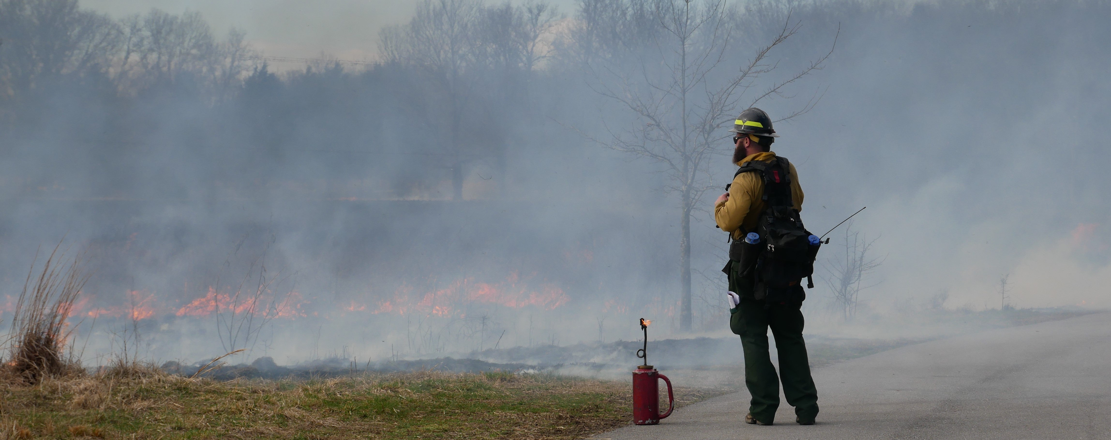 Person carefully watching fire in the distance