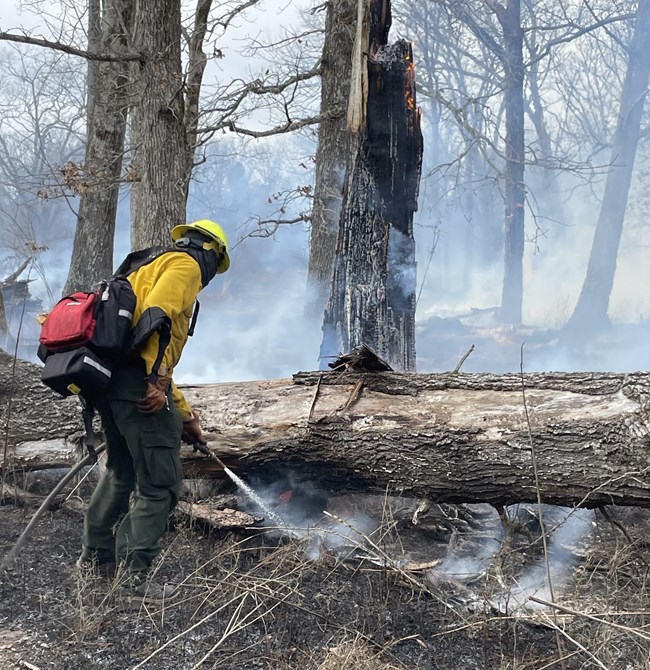 Photo of a person using equipment to put out a prescribed fire