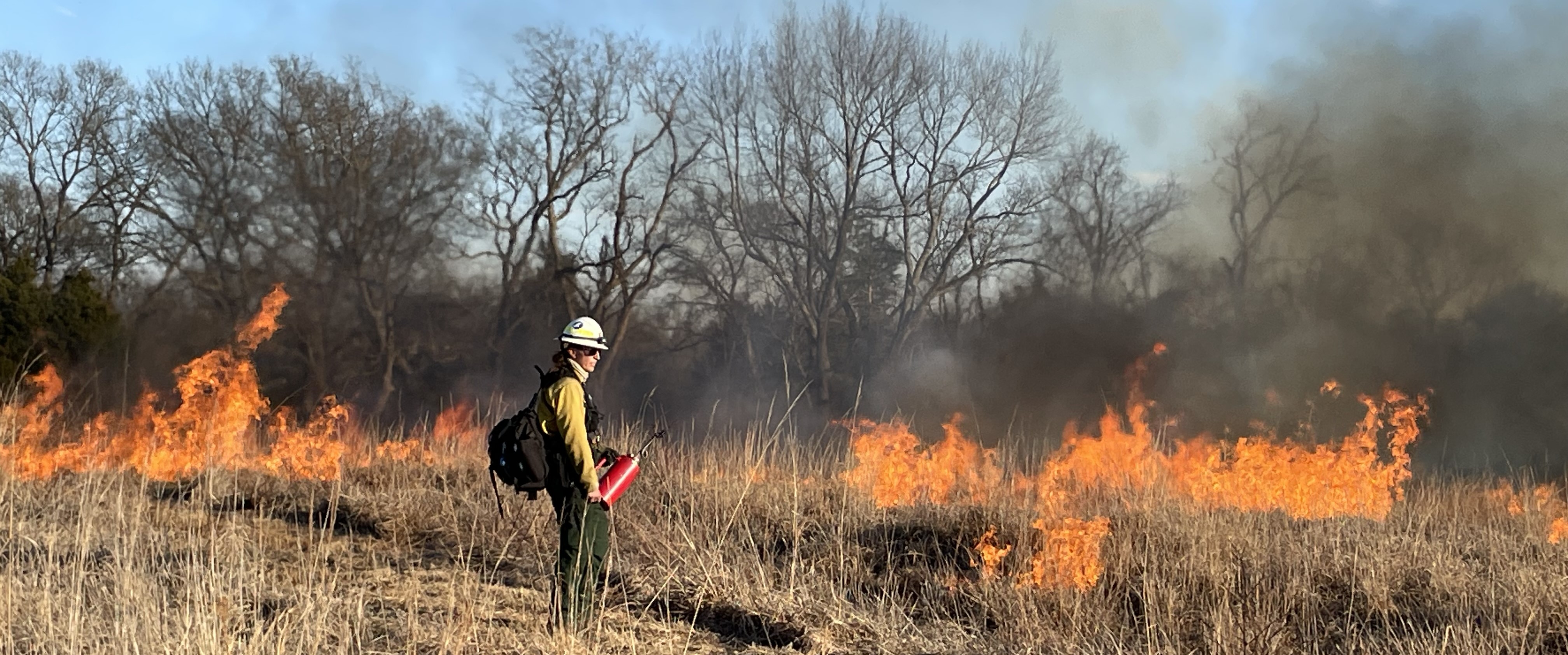 Photo of a prescribed fire with a person in protective gear