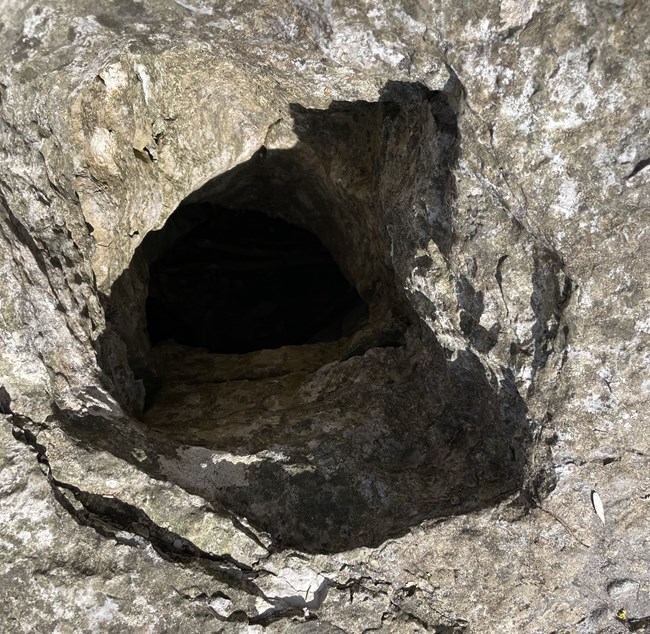 A hole in limestone rock, carved out by water