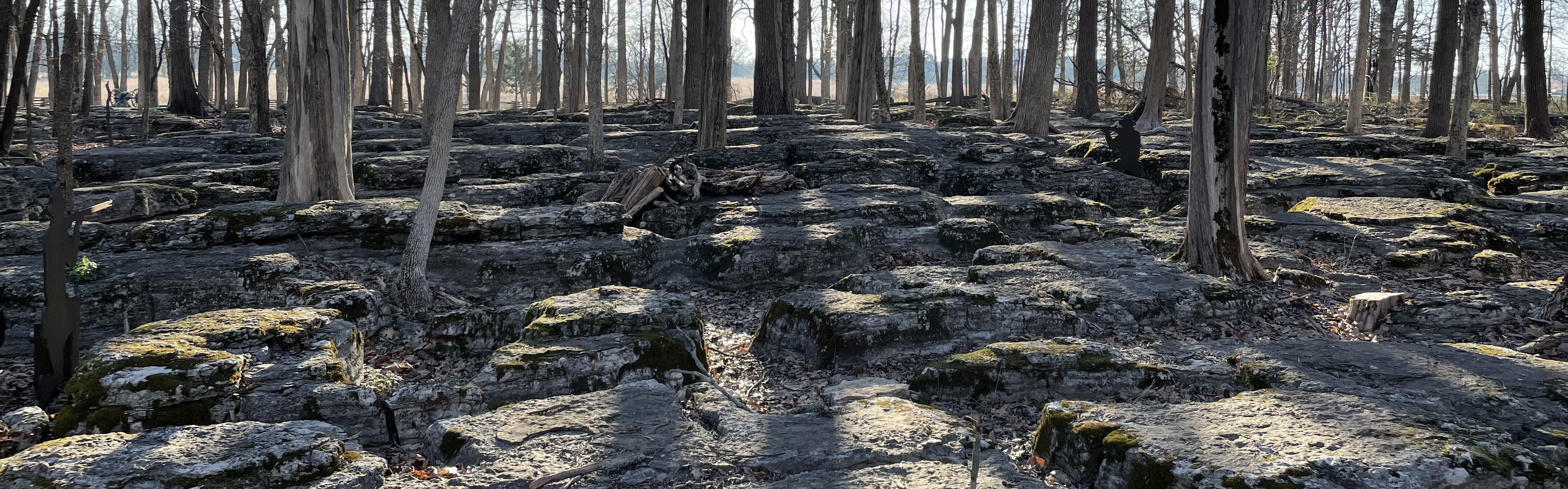 rocky outcropping with scattered trees