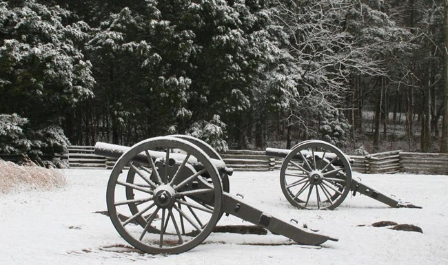 Two Cannons covered in snow in a wooded area.