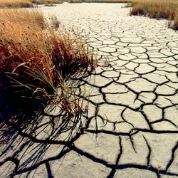 A barren, dried up natural landscape