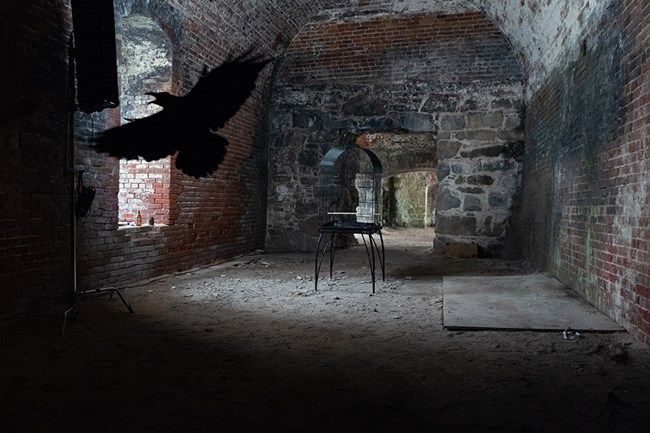 in an airy stone and brick-walled room, a black bird flies from its cage