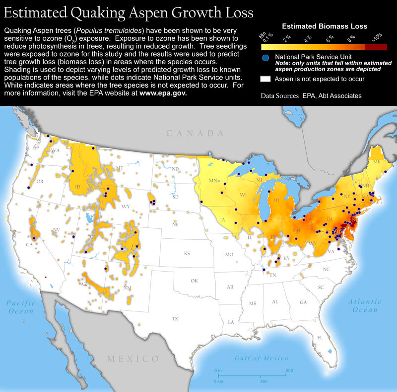Map of the United States showing areas of growth loss for Quaking Aspen trees