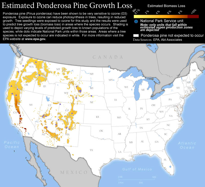 Map of the United States showing areas of growth loss for Ponderosa Pine trees
